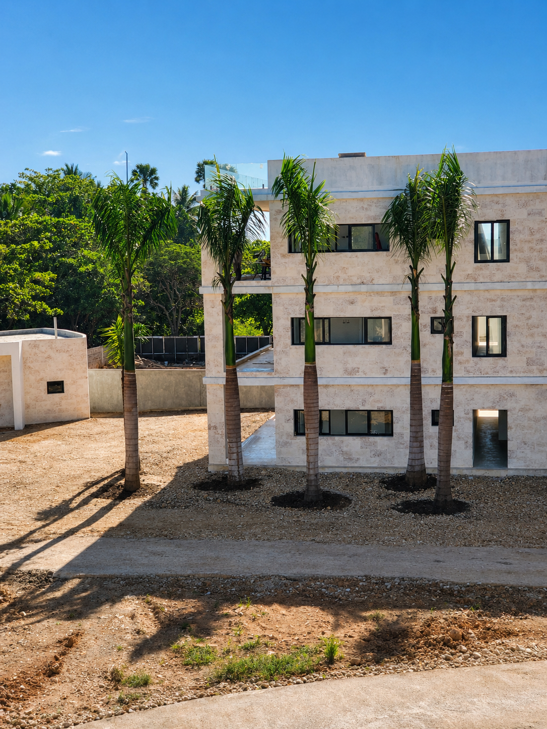Line of palm trees installed beside a modern property